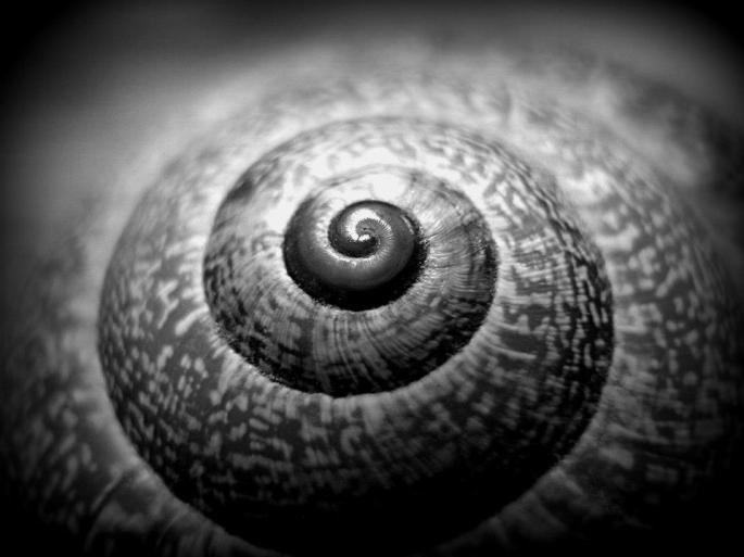 Una espiral hacia la nada